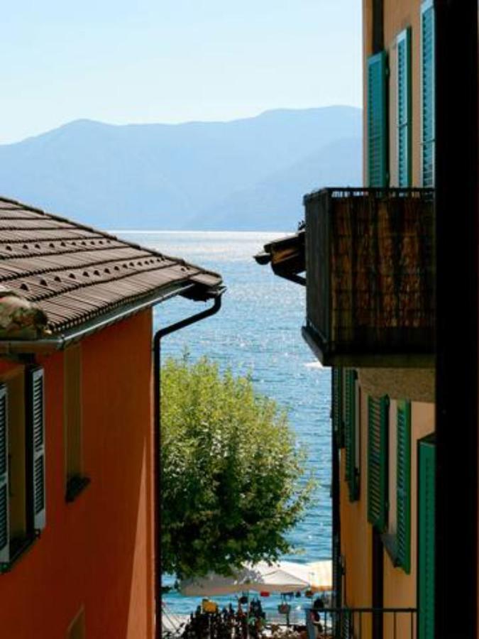Depandance Garni Golf Daire Ascona Dış mekan fotoğraf